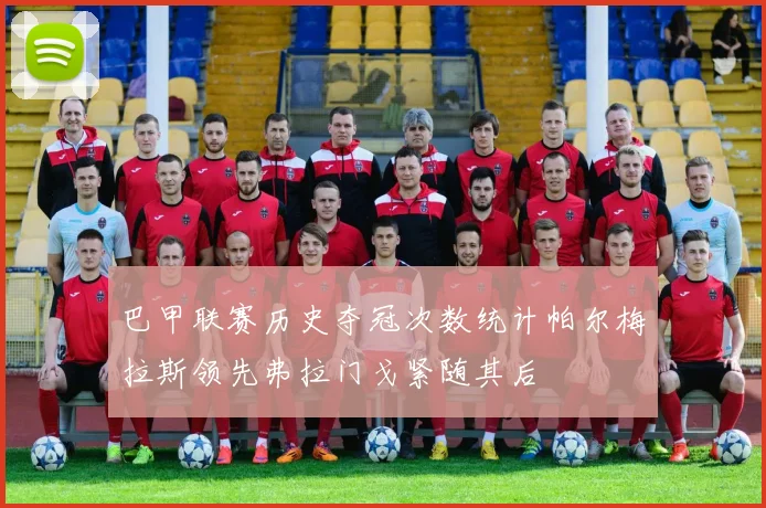 巴甲联赛历史夺冠次数统计帕尔梅拉斯领先弗拉门戈紧随其后