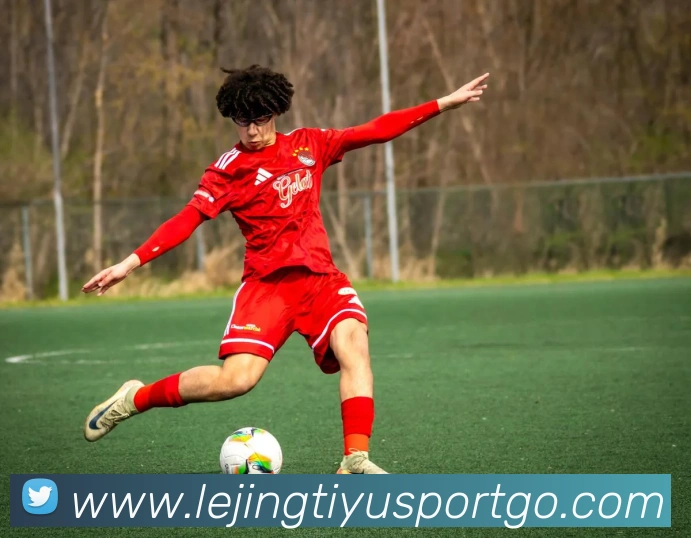 乐竟体育平台生态图