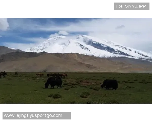 王秋明谈高原适应性问题强调自我反思与客观因素的平衡分析